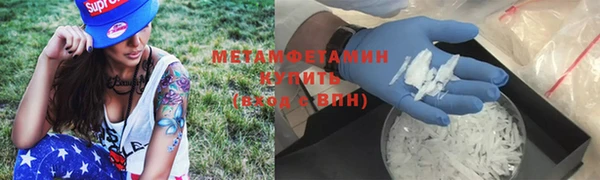 сатива Аша