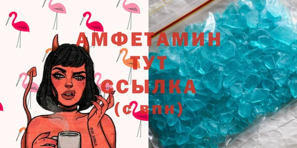 сатива Аша