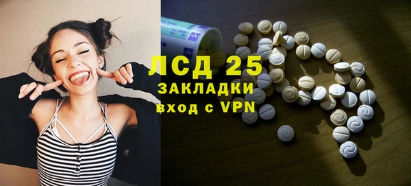 сатива Аша
